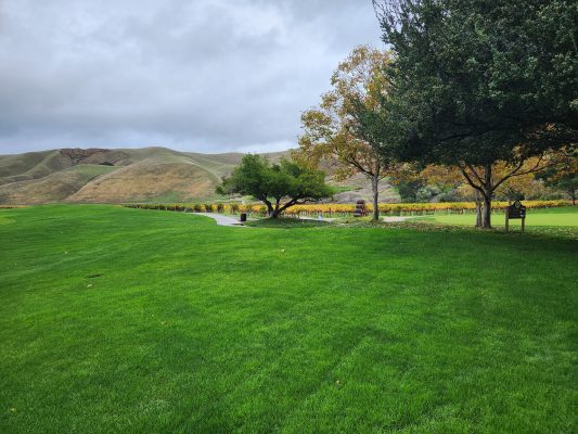 Wente Vineyards and Golf